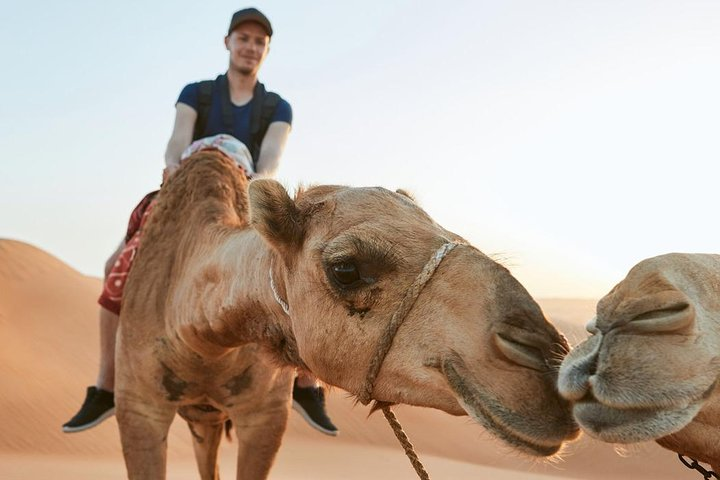 Experience the magic of the desert with a camel ride among stunning red dunes where adventure and tradition blend seamlessly in the heart of Dubai's captivating landscape.
